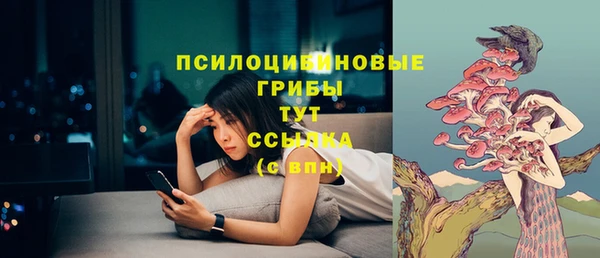 дурь Бугульма