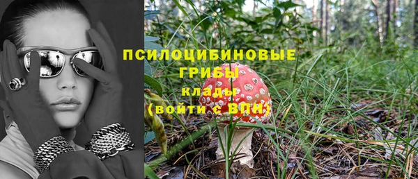 2c-b Нефтекумск