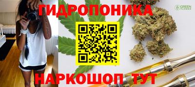 твердый Гатчина
