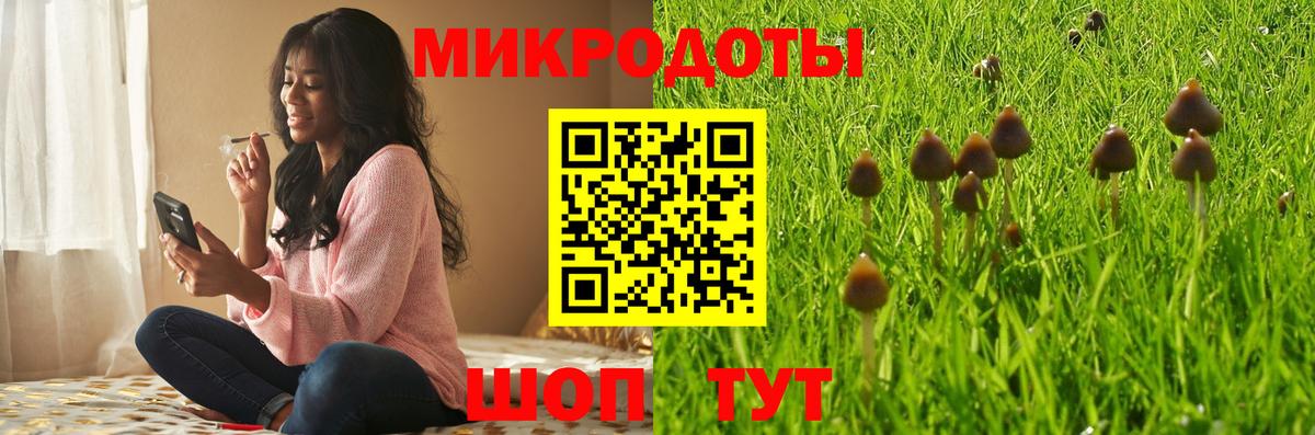 Галлюциногенные грибы прущие грибы Избербаш