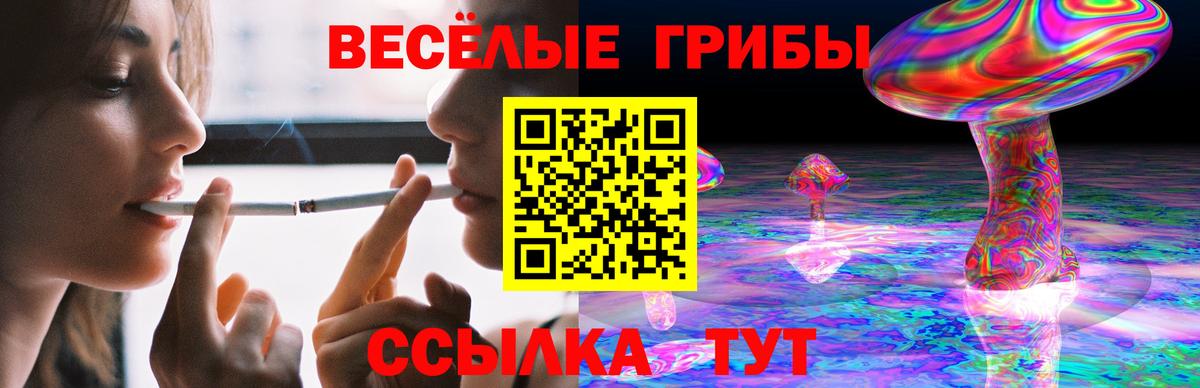Псилоцибиновые грибы прущие грибы  Псилоцибиновые грибы мицелий  Избербаш  Вход с VPN 
